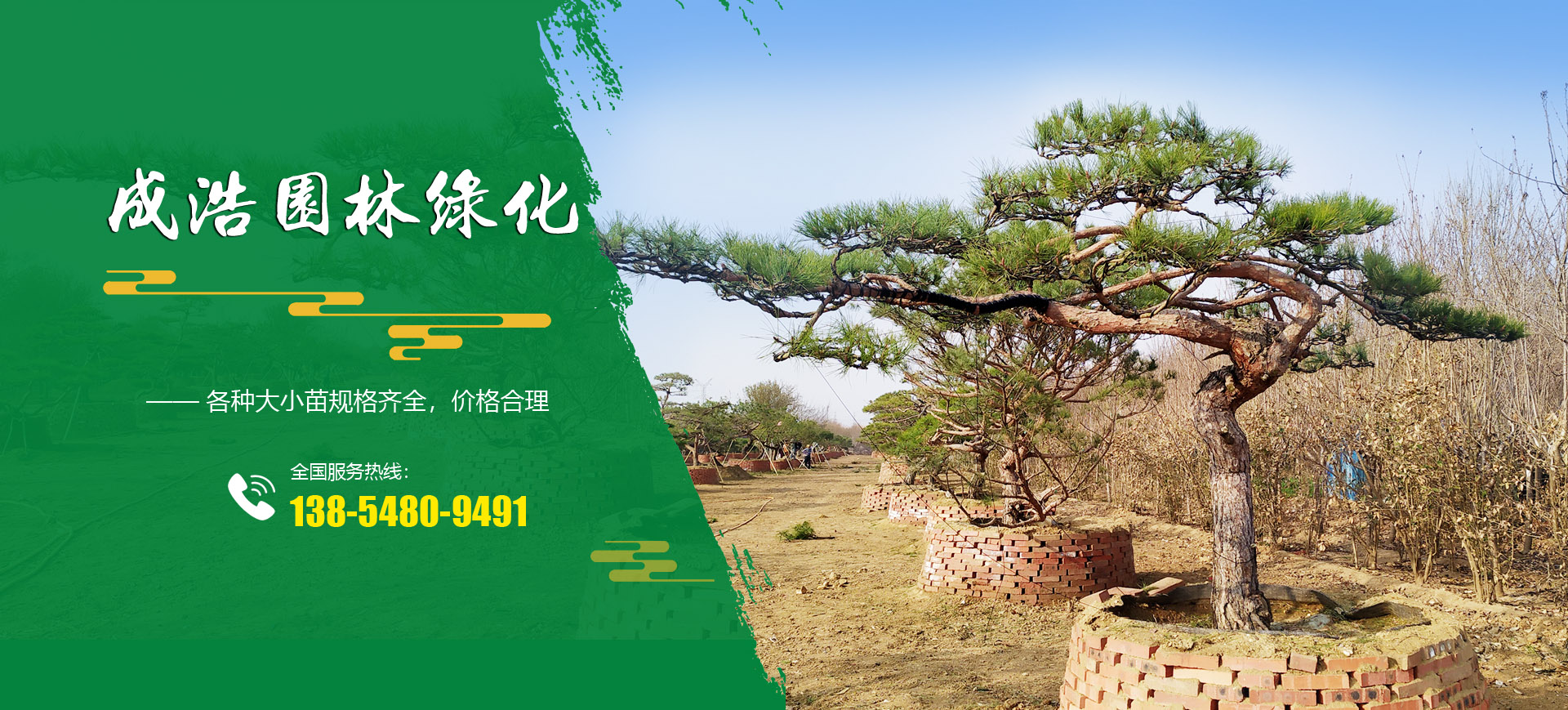 泰安市成浩园林绿化工程有限公司