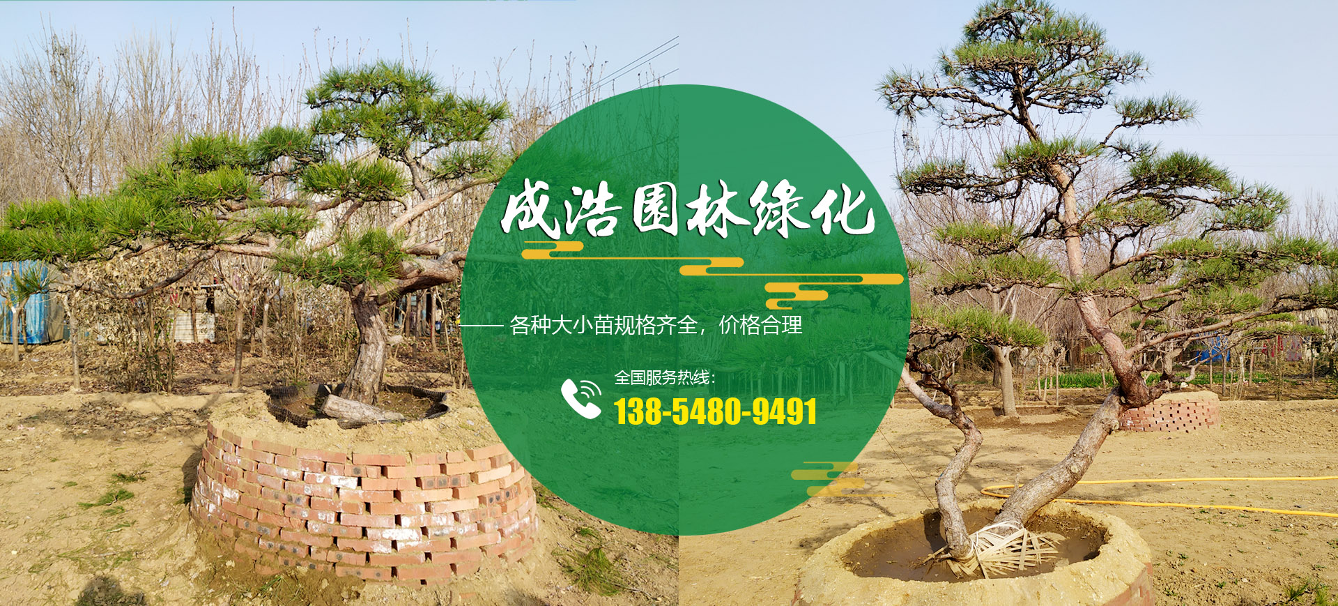 泰安市成浩园林绿化工程有限公司