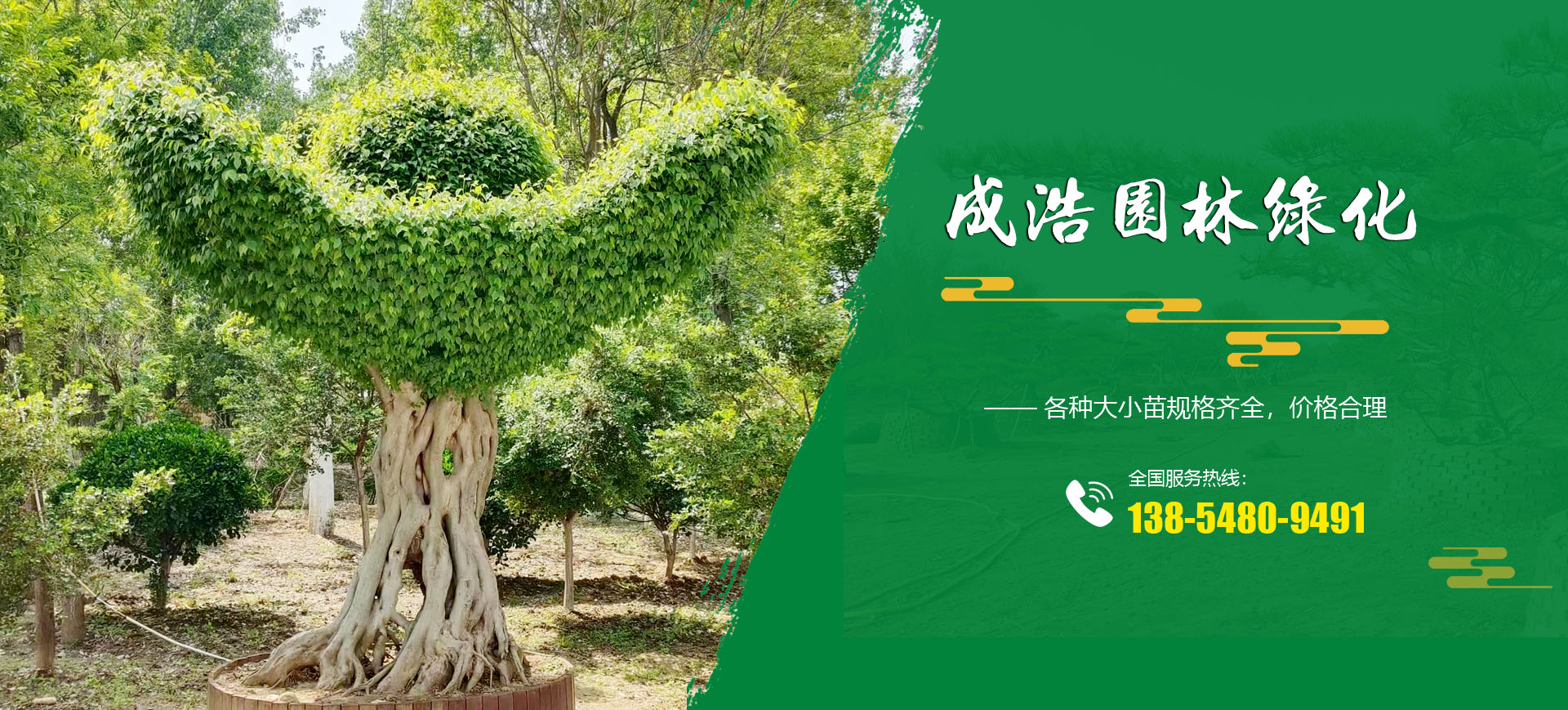 泰安市成浩园林绿化工程有限公司