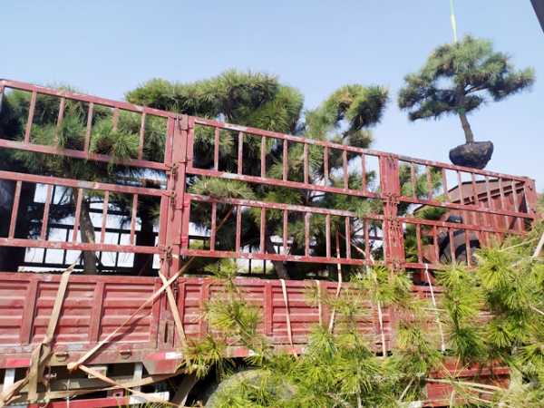 发货现场